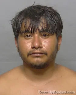 Mugshot of ALFREDO JORGE HERNANDEZ booked in Sumter County, Florida on July 9, 2026