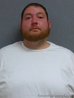 Mugshot of MARIO MILICIC booked in Geauga County, Ohio on March 30, 2026