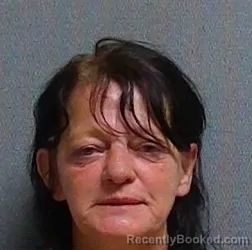 Mugshot of MICHELLE PACHECO ESTRADA booked in Geauga County, Ohio on May 29, 2026