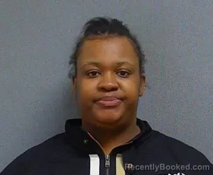 Mugshot of BRANDY HOOKFIN