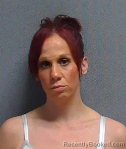 Mugshot of SAVANNA LEE booked in Geauga County, Ohio on June 2, 2026