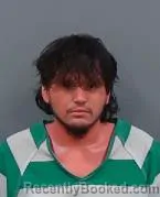 Mugshot of DAVID ELIAS-URIAS DELGADO JR