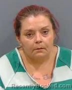 Mugshot of CHERYL ANNE MACE