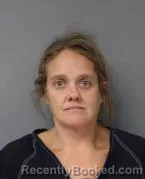 Mugshot of AMANDA LYNN WILSON