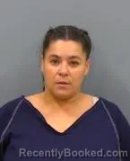 Mugshot of BRANDY SUE NICKLES