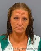 Mugshot of ASHLEY NICOLE HOBBS booked in Greene County, Ohio on July 17, 2026