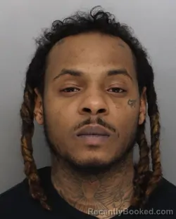 Mugshot of RYAN WILLIAMS booked in Hamilton County, Ohio on March 28, 2026