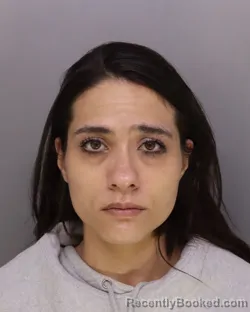 Mugshot of ASHLEY NEW booked in Hamilton County, Ohio on March 31, 2026