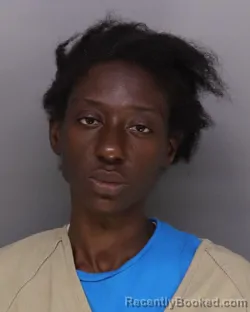 Mugshot of Jameela Lanier