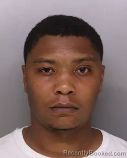 Mugshot of BRYANT WILSON