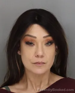 Mugshot of MICHELLE BRITT booked in Hamilton County, Ohio on March 18, 2026