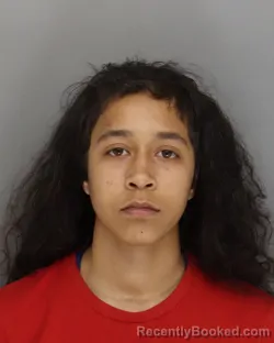 Mugshot of AYANA SCHERRER