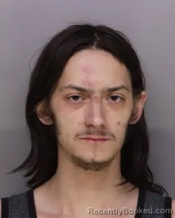 Mugshot of JORDAN PURSELL booked in Hamilton County, Ohio on March 29, 2026