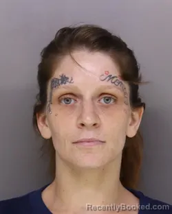 Mugshot of Chelsey Meadors booked in Hamilton County, Ohio on September 16, 2026