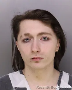 Mugshot of ANDREW BOEHM booked in Hamilton County, Ohio on March 28, 2026