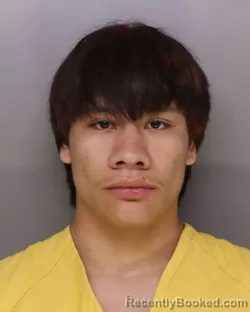 Mugshot of Diego Vanderveen