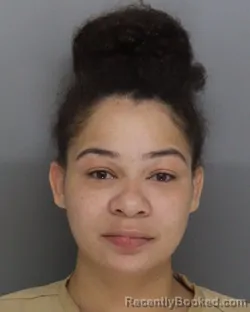 Mugshot of DIONNA HACKNEY booked in Hamilton County, Ohio on July 10, 2026