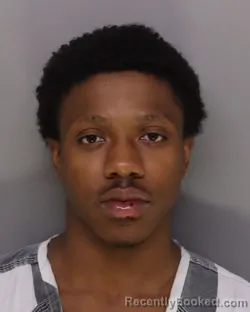 Mugshot of Terron Burrell