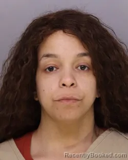 Mugshot of VIVIANETTE MANGUAL-PELLOT booked in Hamilton County, Ohio on March 19, 2026