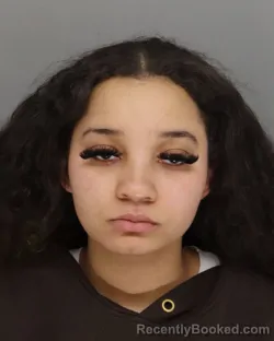 Mugshot of HOLLY DAVIS booked in Hamilton County, Ohio on March 15, 2026