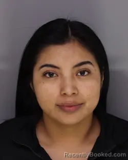 Mugshot of SARA RAMIREZ-BARRIOS booked in Hamilton County, Ohio on March 22, 2026