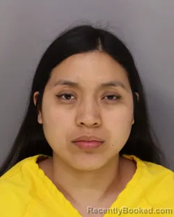 Mugshot of HEIDI FUENTES booked in Hamilton County, Ohio on March 22, 2026