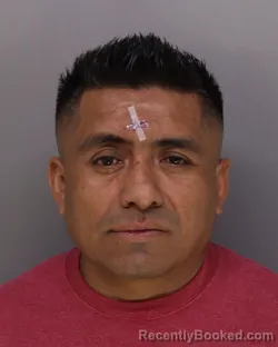 Mugshot of SAMY MENDEZ booked in Hamilton County, Ohio on March 29, 2026