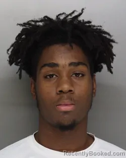 Alex Davenport-White Arrest Record | Hamilton, OH