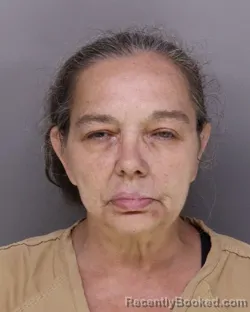 Mugshot of MELISSA CHANDLER booked in Hamilton County, Ohio on July 15, 2026