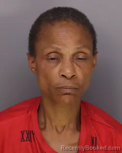 Mugshot of ROSEMARY BRINSON booked in Hamilton County, Ohio on June 10, 2026