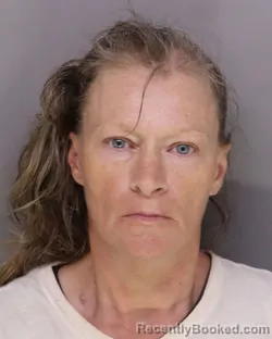 Mugshot of DENISE PERKINS booked in Hamilton County, Ohio on June 7, 2026