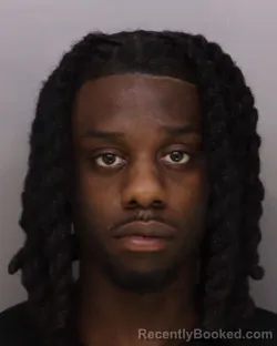 Booking photo from Hamilton County, Ohio