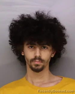 Booking photo from Hamilton County, Ohio