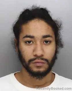 Booking photo from Hamilton County, Ohio