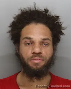 Mugshot of DARRIN HAYES