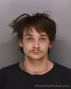 Mugshot of LOGAN GOINS