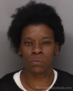 Mugshot of CHRISTINA STROWBRIDGE