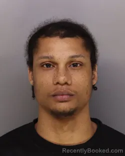 Mugshot of LANDON HORTON