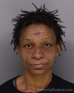 Mugshot of ERICA PARRISH