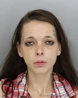 Mugshot of DANIELLE BATES