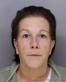 Mugshot of ANGELA HOLLIN