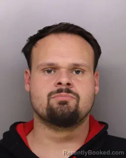 Mugshot of WERNER STROHM