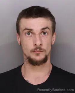 Mugshot of CAMERON WERT