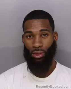 Mugshot of ZEREE DYER