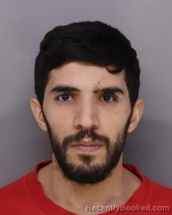 Mugshot of ABED SALAMEH