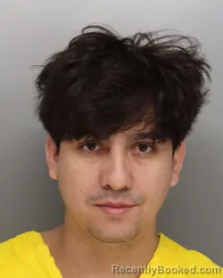 Mugshot of ARIEL ALFARO