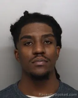 Mugshot of DEVIN SHELTON