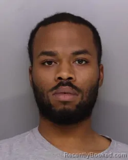 Mugshot of BRENDAN JOHNSON