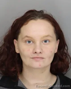 Mugshot of JOLENE SPEARS