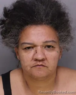 Mugshot of JESSICA HANNA